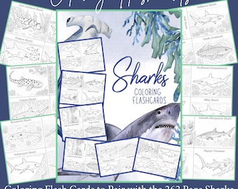 Sharks of the World Coloring Flashcards: Hands On Homeschool Marine Ocean Unit Study Nature Activity