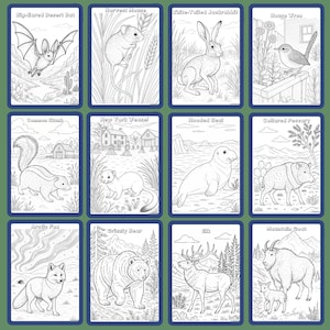 The Burgess Animal Book Notebooking Journal: Ambleside Homeschool Unit Study with Flashcards, Coloring Pages, Worksheets image 7