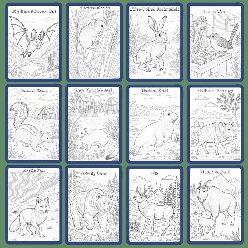 The Burgess Animal Book Notebooking Journal: Ambleside Homeschool Unit Study with Flashcards, Coloring Pages, Worksheets image 7