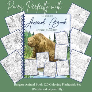 The Burgess Animal Book Notebooking Journal: Ambleside Homeschool Unit Study with Flashcards, Coloring Pages, Worksheets image 9