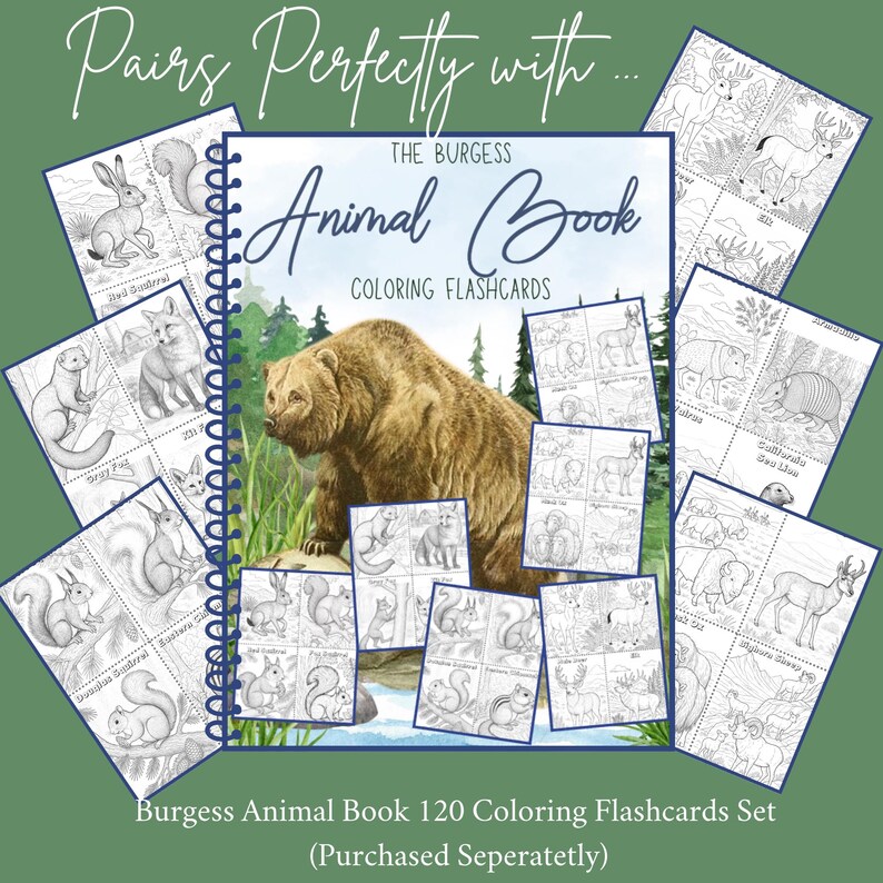 The Burgess Animal Book Notebooking Journal: Ambleside Homeschool Unit Study with Flashcards, Coloring Pages, Worksheets image 9