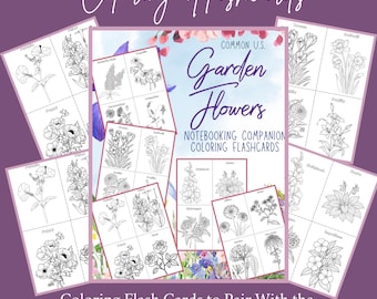 Tuinbloemen Flashcards om in te kleuren: Homeschool Hands On Plantkunde Unit Study Activity