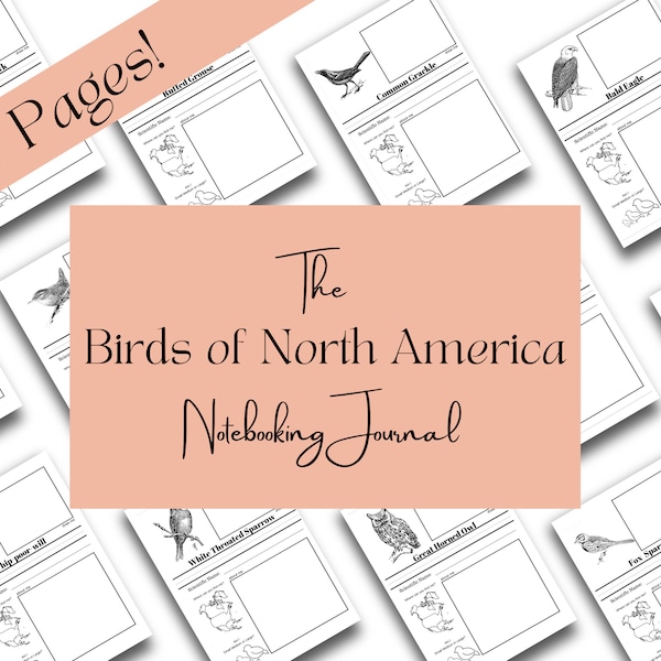 The Burgess Bird Book Notebooking Page Journal, Bird Notebooking Pages, Homeschool Unit Study, Homeschool Bird Unit