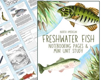 HUGE US Freshwater Fish Notebooking Pack 269 Pages Homeschool Nature Journal Science Fishing Pond Lake Mini Unit Study Coloring Pages