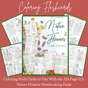 Può includere: Flashcard da colorare con fiori nativi del Nord America. Le carte mostrano disegni a tratto dettagliati di vari fiori, farfalle e api, con il titolo "Native Flowers Coloring Flashcards" al centro. Il testo "Coloring Flash Cards" è anche visibile.