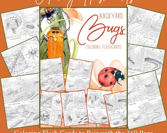Backyard Bugs Insects Flashcards kleuren, thuisonderwijs natuurstudie praktische activiteit Afdrukbare pdf