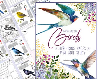 HUGE Birds of North America Notebooking Pages Pack 361 Page Homeschool Nature Journal Mini Bird Unit Study Curriculum Coloring Flashcards