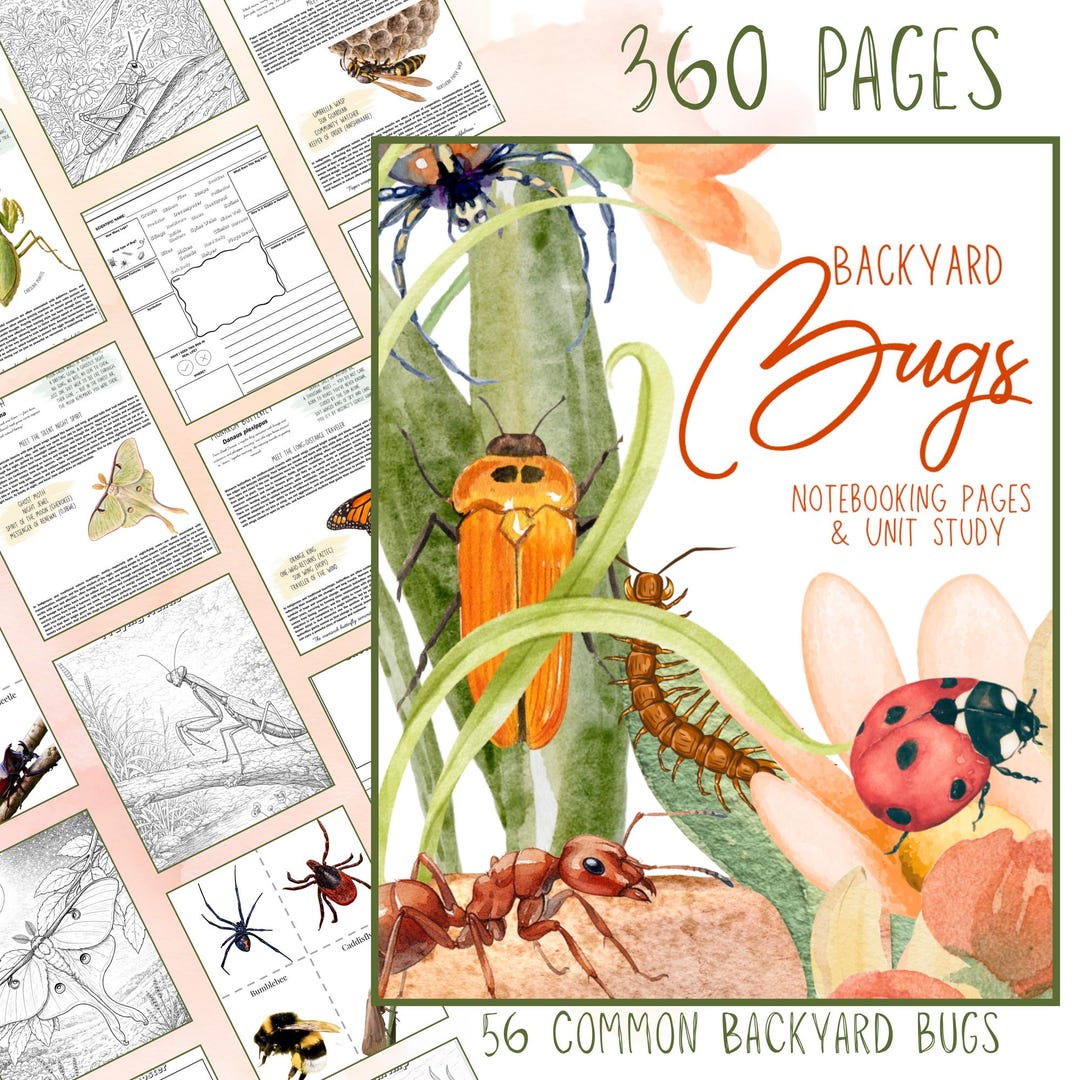 Backyard Bugs Insects Unit Study and Homeschool Notebooking Journal ...
