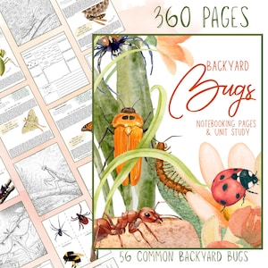 May include: A notebook and unit study titled "Backyard Bugs" with 360 pages. The cover features watercolor illustrations of various insects, including a ladybug, ant, and orange beetle. The notebook includes 56 common backyard bugs.