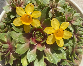 Pendientes de narciso pintados de resina