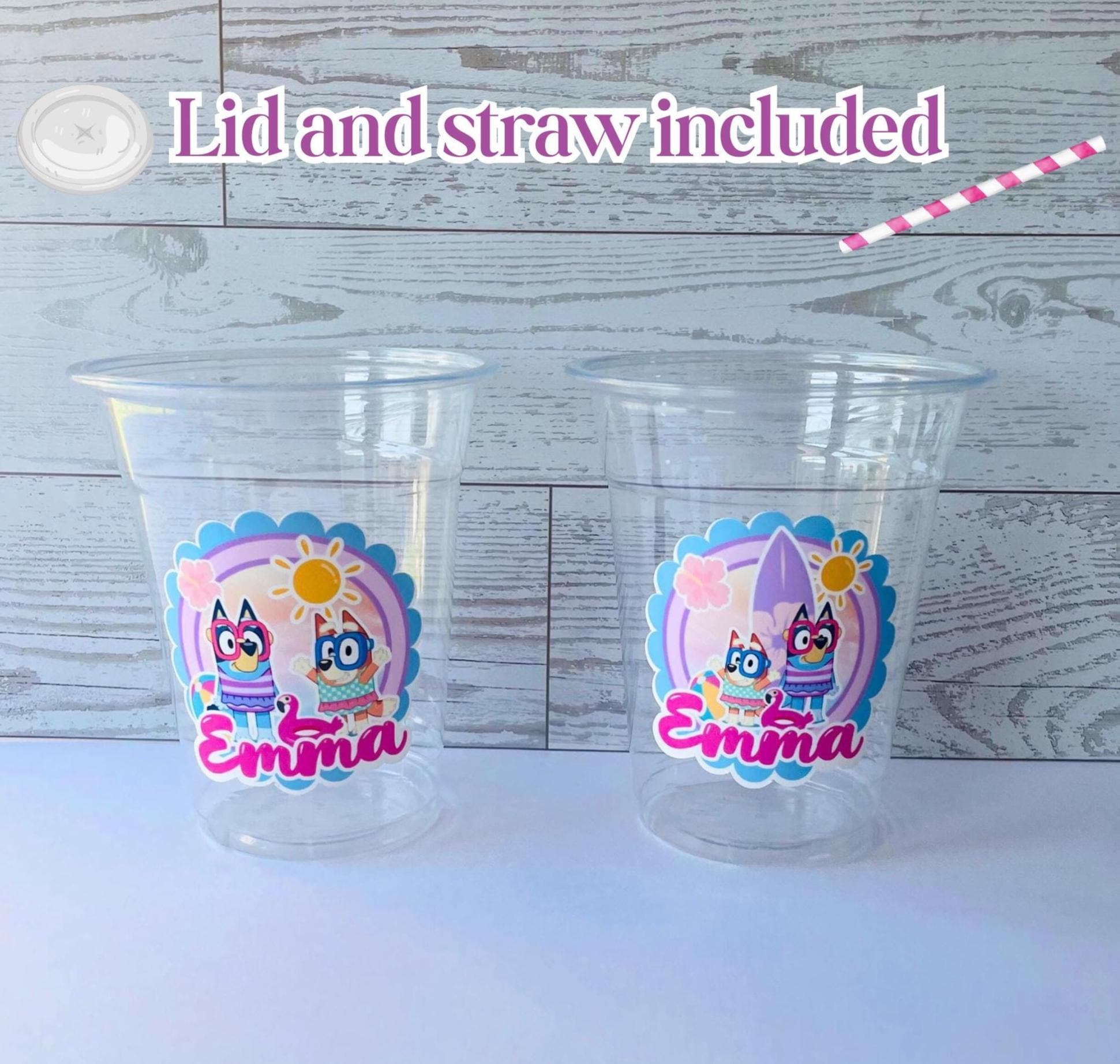 Summer Bluey Birthday Cups, Party Favor, Disposable Bluey Party Cups, Pool Birthday Cups, Pool Party Cups, Kids Party Cups