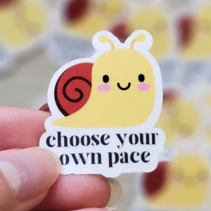choose your own pace sticker mental health awareness sticker go at your own pace sticker for bottle self care sticker for laptop journal