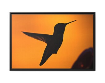 Hummingbird Sunset Silhouette Framed Canvas Print