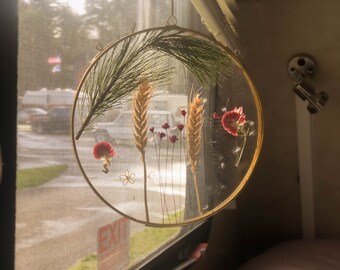 Glass Flower and Pine Frame Floating Pressed Red Flowers and Wheat Dandelions