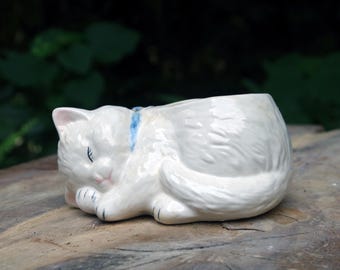 sleeping  Cat Planter blue collar