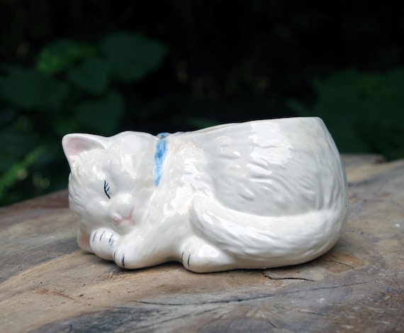 sleeping  Cat Planter blue collar