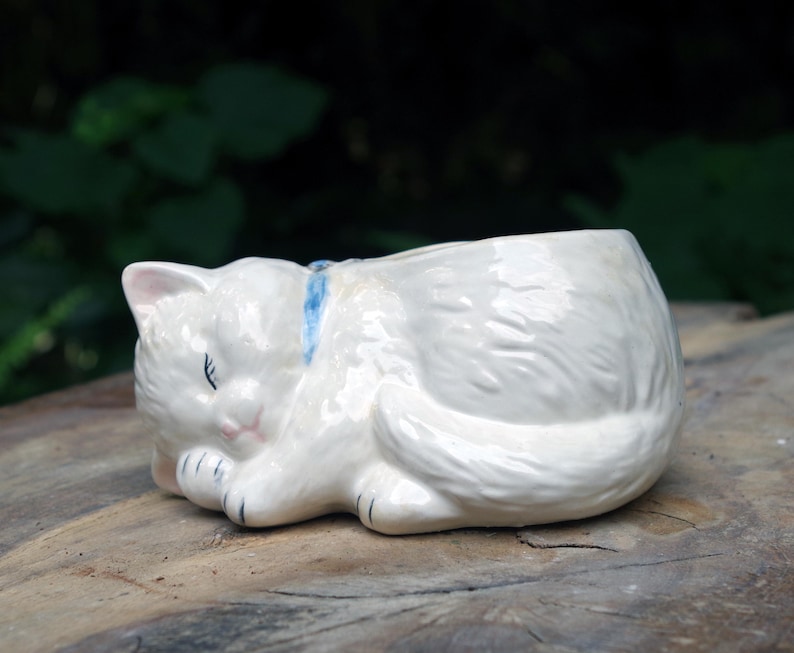 sleeping Cat Planter blue collar image 1