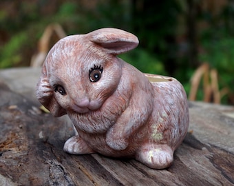 May include: A brown ceramic bunny planter with a small opening for planting. The bunny has a cute, shy expression and is sitting on a wooden surface.