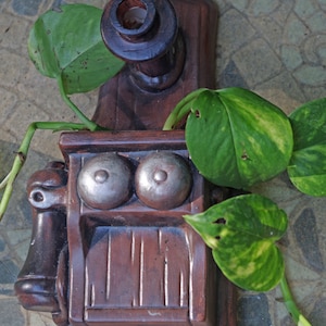 Op de afbeelding: Een bruine keramische plantenbak met twee ronde openingen en een houten bovenkant. Een groene plant met bonte bladeren groeit uit de plantenbak.