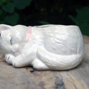 May include: White ceramic cat planter with a pink ribbon around its neck. The cat is curled up in a sleeping position.