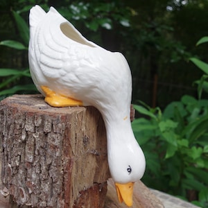 11 inch  ceramic shelf duck planter