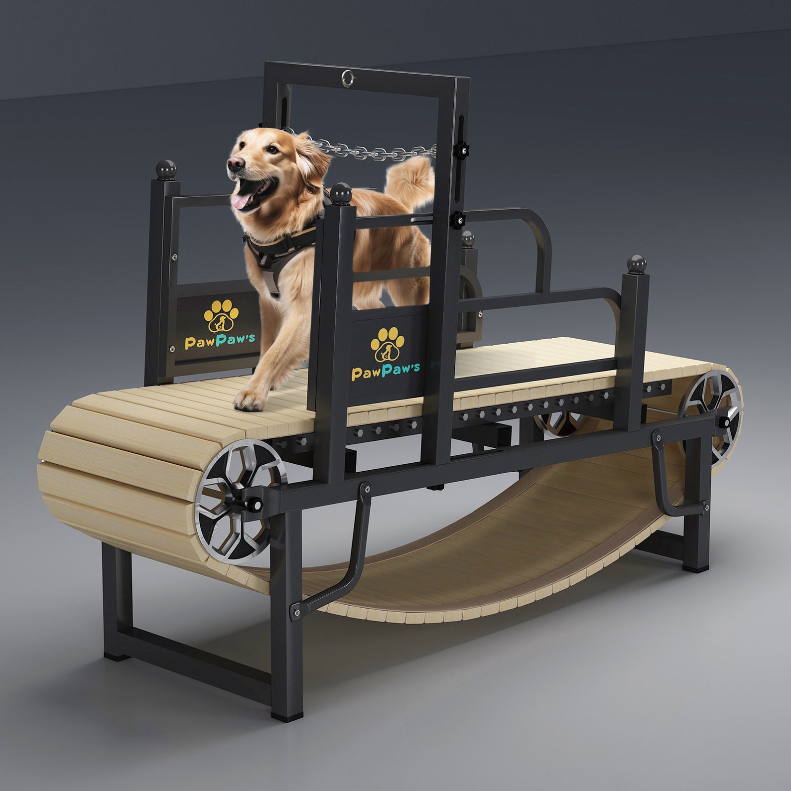 Pawpaws Dog Treadmill for Large Dogs, Medium Dogs. Dog Pacer Treadmill