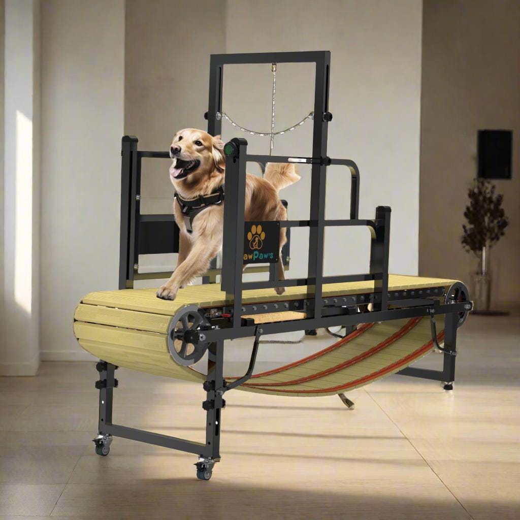 Treadmill Dog Exercise Wheel GoPet CS6020 Medium/Large Breed