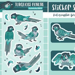 Turquoise Conure Vinyl Sticker Sheet Set | Bird Sticker