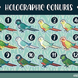 May include: Twelve colorful holographic stickers of conures, a type of parrot, with numbers 1 through 12 on each sticker. The conures are in various poses and colors, including green, blue, yellow, and red.