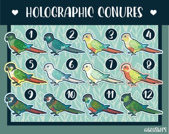 May include: Twelve colorful holographic stickers of conures, a type of parrot, with numbers 1 through 12 on each sticker. The conures are in various poses and colors, including green, blue, yellow, and red.
