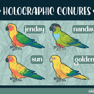 Large Conure Holographic Stickers | Bird Sticker