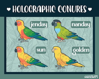 Large Conure Holographic Stickers | Bird Sticker