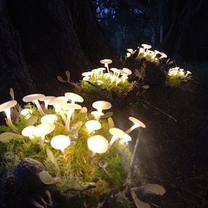 Forest Floor Mushroom Lamp mushroom light toadstool light toadstool lamp