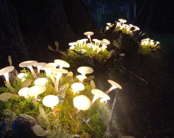 Forest Floor Mushroom Lamp mushroom light toadstool light toadstool lamp