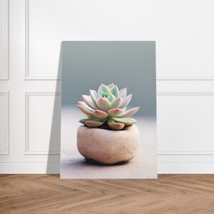 Puede incluir: Una planta suculenta con hojas verdes y rosadas en una maceta de piedra marrón claro. La planta está sobre una superficie gris claro.