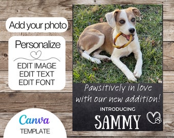May include: A black chalkboard with white text that reads "Pawsitively in love with our new addition! Introducing Sammy."  A heart with a paw print is next to the name. A photo of a brown and white dog with a chew toy in its mouth is in the top left corner of the chalkboard.
