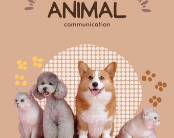 Animal Communication Reading Connect With Your Living Pet (5 Questions)