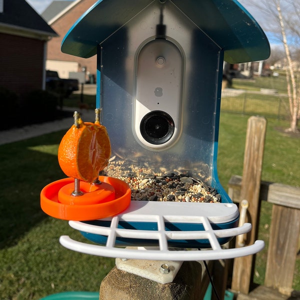 Bird Buddy Perch Etsy