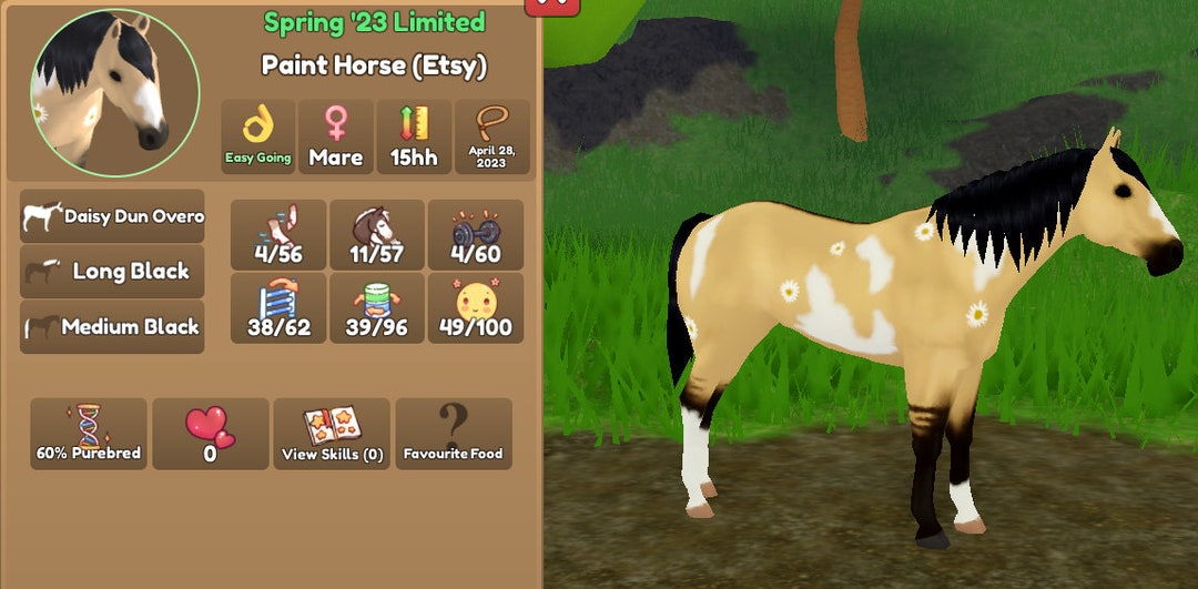 Daisy Dun Overo Paint Horse Wild Horse Islands Etsy