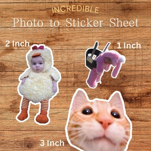 Custom Photo Face Stickers - Personalized Face Stickers - Baby Stickers - Picture sticker - wedding sticker - friend sticker - pet stickers