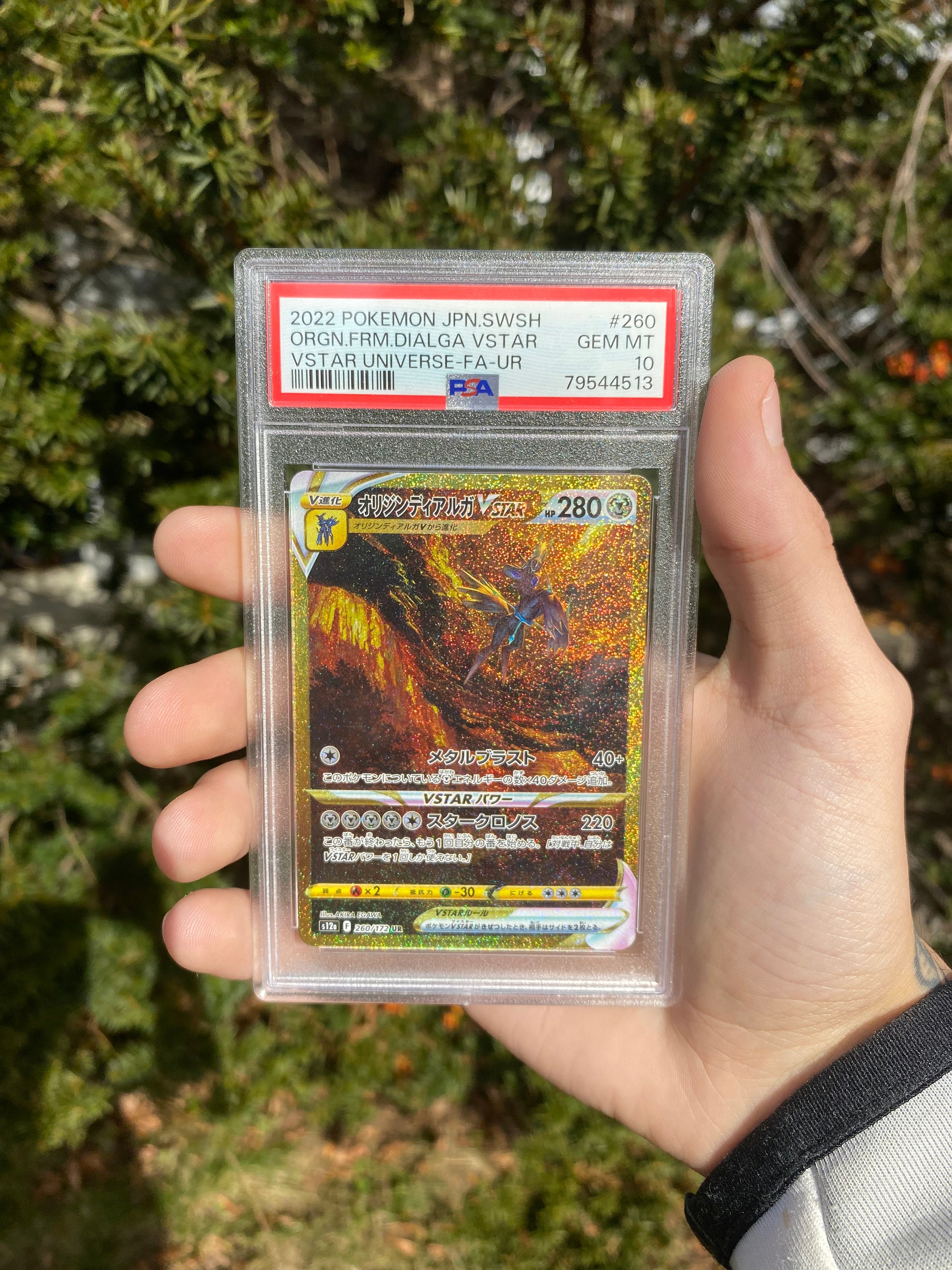 Palkia Dialga Giratina Vstar Gx Ex Vmax V Pokémon Card Orica 