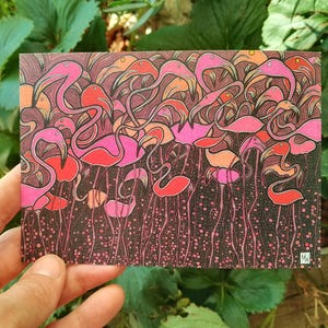 Carte postale flamants roses