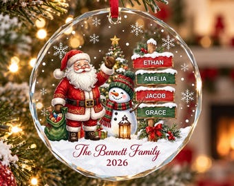 Personalized Family Names Christmas Ornament, Custom Family Name Glass Ornament, Family Keepsake 2026, Glass Christmas Tree Decor, Xmas Gift