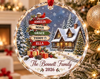Personalized Family Christmas Ornament, Custom Family Names Ornament, Family of 5 6 7 Christmas Gifts, Glass Christmas Tree Ornament