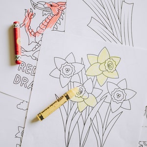 Early learning Coloring book, dot-to-dot and Scissor skills