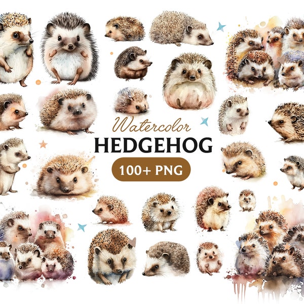 Hedgehog Png, Watercolor Hedgehog, Hedgehog clipart, Hedgehog PNG, Hedgehog art, Hedgehog, Hedgehog digital, Animal