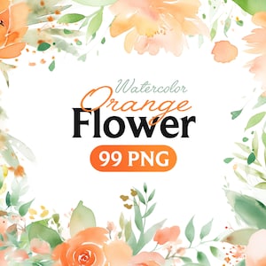 Fiori d'arancio PNG, mazzi di clipart floreali dell'acquerello, elementi, uso commerciale, clipart digitale PNG
