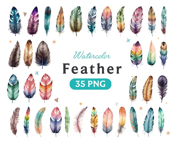 Colorful Feather Clipart: Boho Plumes, Feather Art (35 PNG) (Digital Download)