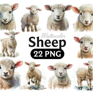Clipart de aquarela de ovelha, PNG de ovelha, gráficos fofos de chá de bebê, arte de parede de decoração de berçário, animal de fazenda de primavera PNG