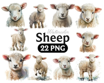Sheep Watercolor Clipart, Baby Animal PNG Graphics (Digital Download)